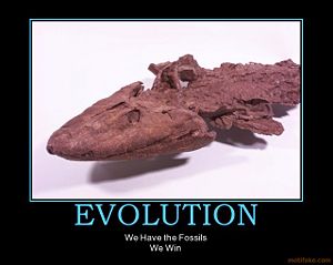 Evolution-fossils-win.jpg