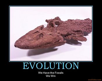 Evolution-fossils-win.jpg